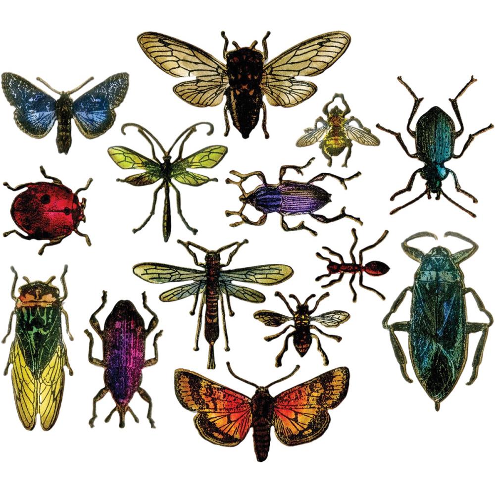 Entomology Framelits Die Set | Tim Holtz