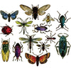 Entomology Framelits Die Set | Tim Holtz