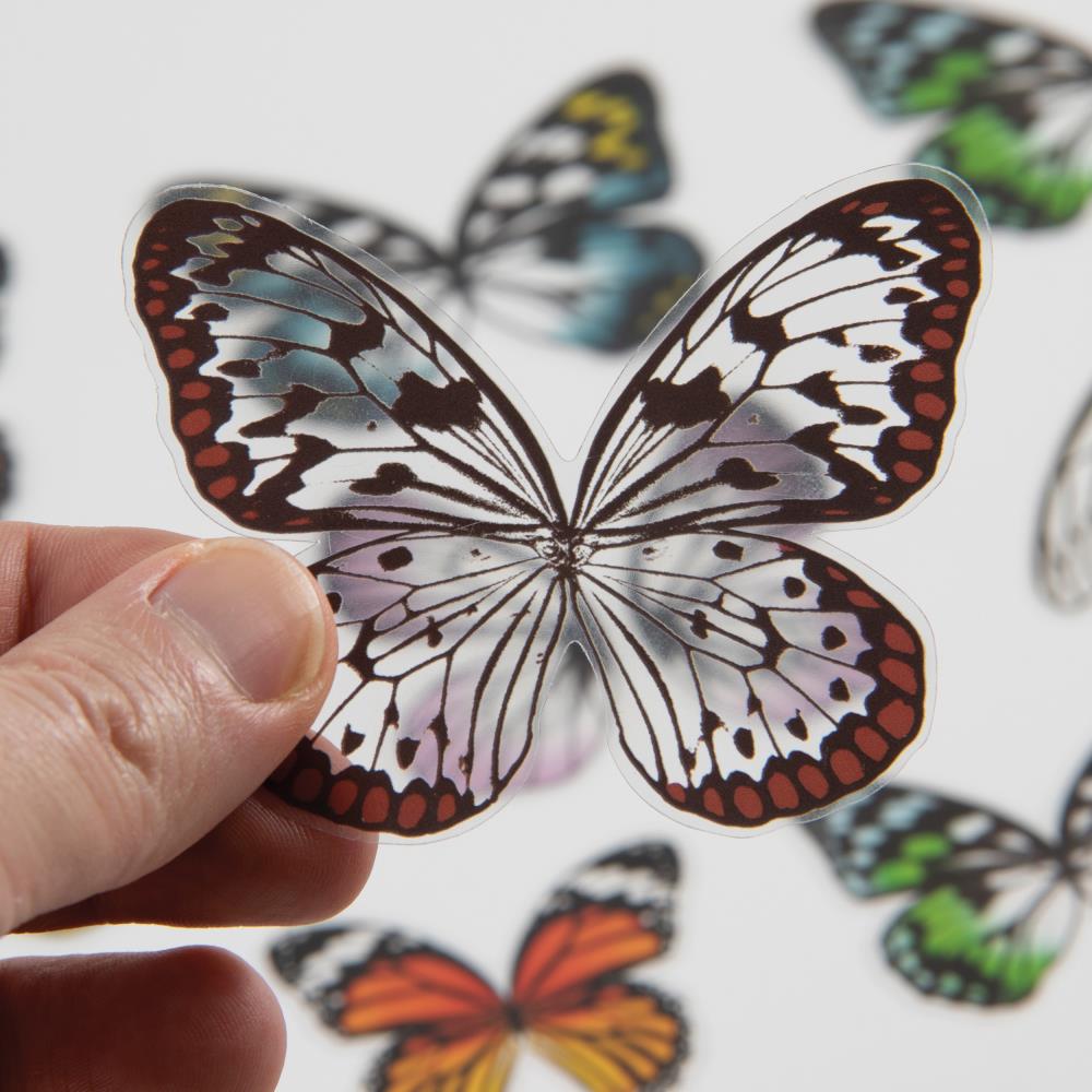 Transparent Wings | idea-ology