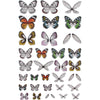 Transparent Wings | idea-ology
