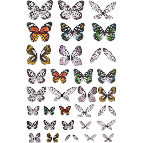 Transparent Wings | idea-ology