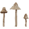 Toadstools | idea-ology