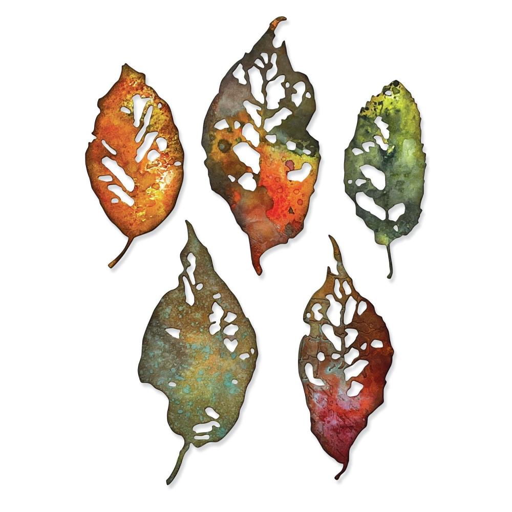 {coming soon!} Leaf Fragments Thinlits Die Set | Tim Holtz