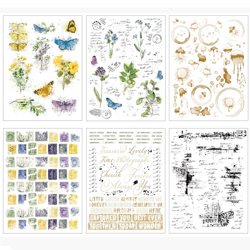 Curators Botanical 6x8 Rub-Ons