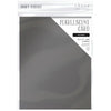 Onyx Black Pearlescent 8.5x11 Cardstock 5pk
