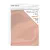 Blushing Pink Pearlescent 8.5x11 Cardstock 5pk
