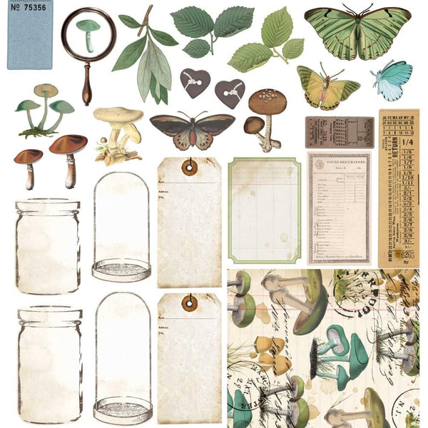 Collection Pack 12x12 {Nature Study}