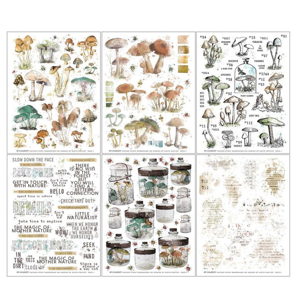 Mushrooms 6x8 Rub-ons Pack {Nature Study}