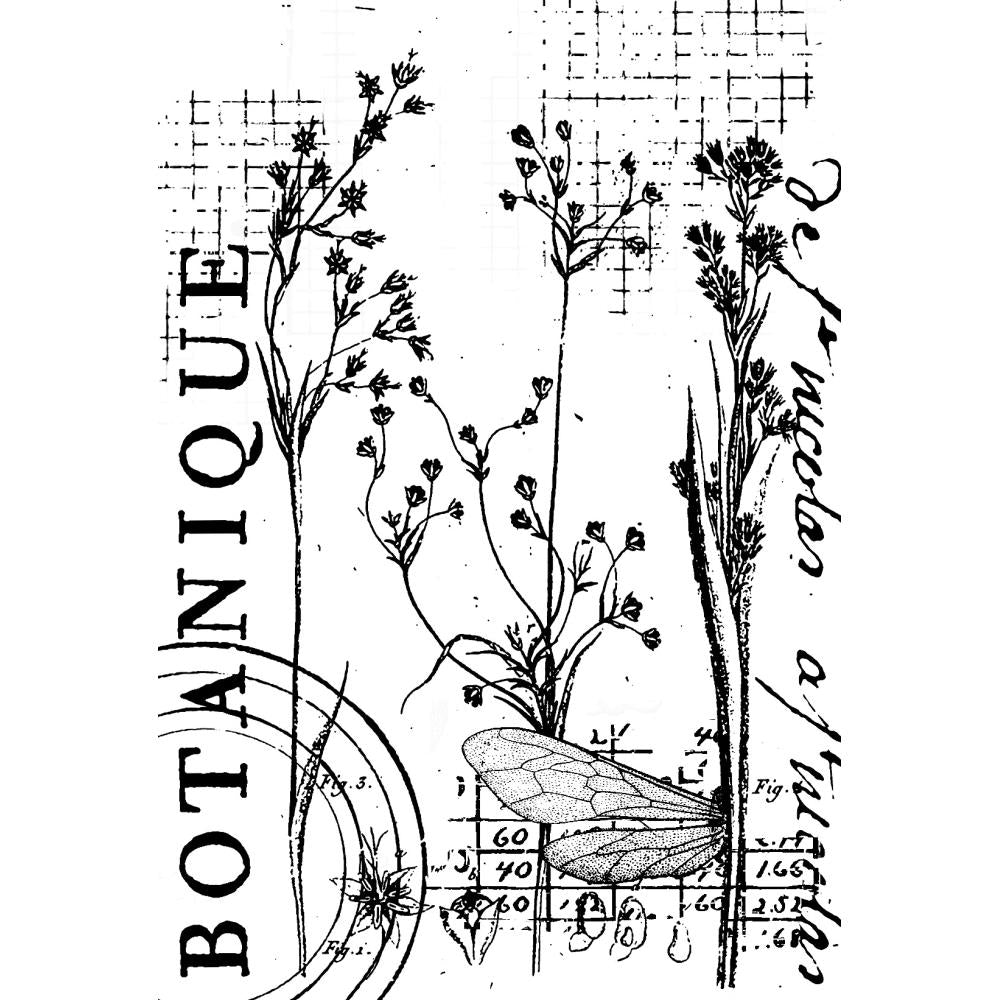 Botanical Collage 4x6 Clear Stamp Set | Sam Poole