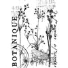 Botanical Collage 4x6 Clear Stamp Set | Sam Poole