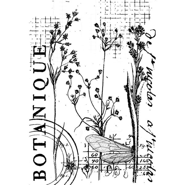 Botanical Collage 4x6 Clear Stamp Set | Sam Poole