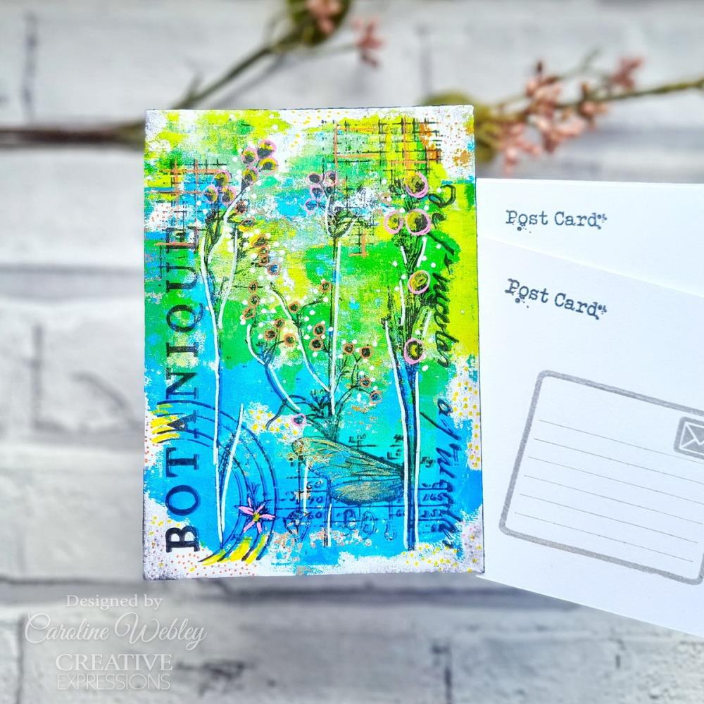 Botanical Collage 4x6 Clear Stamp Set | Sam Poole
