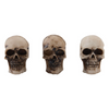 Skulls & Bones {Halloween 2023 Retired} | idea-ology