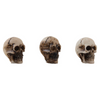 Skulls & Bones {Halloween 2023 Retired} | idea-ology