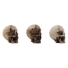 Skulls & Bones {Halloween 2023 Retired} | idea-ology