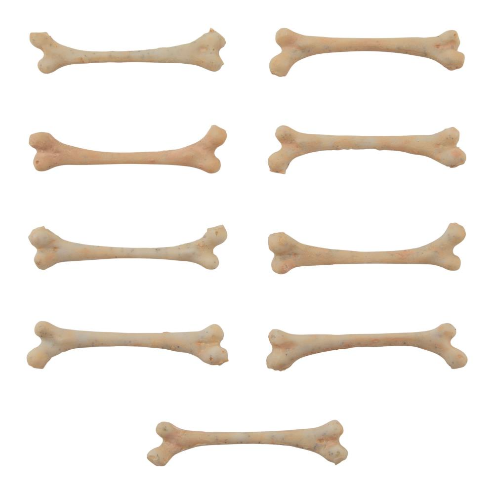Skulls & Bones {Halloween 2023 Retired} | idea-ology