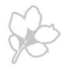 Painted Pencil Leaves Stamp + Die Set | 49 & Market {clearance}