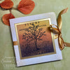 Nature 4x6 Clear Stamp Set | Sam Poole