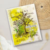 Nature 4x6 Clear Stamp Set | Sam Poole