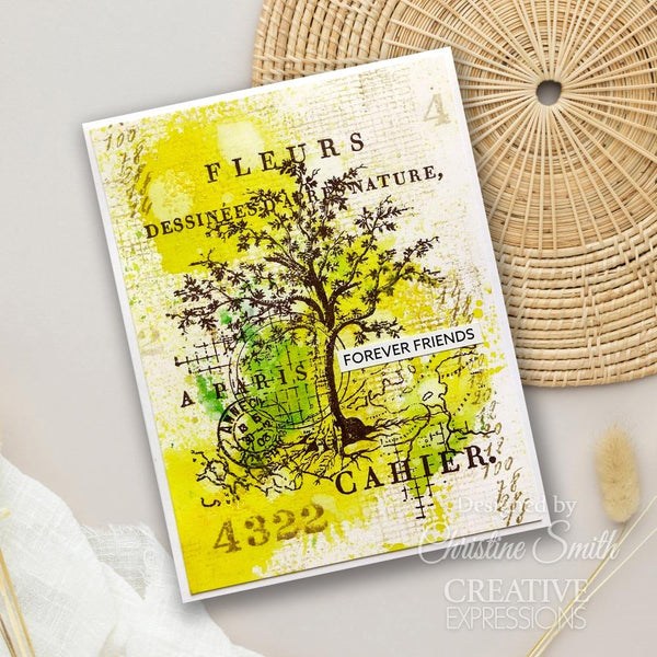 Nature 4x6 Clear Stamp Set | Sam Poole