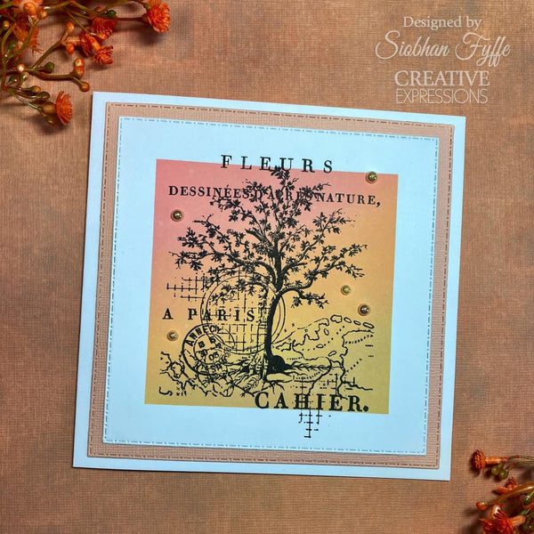 Nature 4x6 Clear Stamp Set | Sam Poole