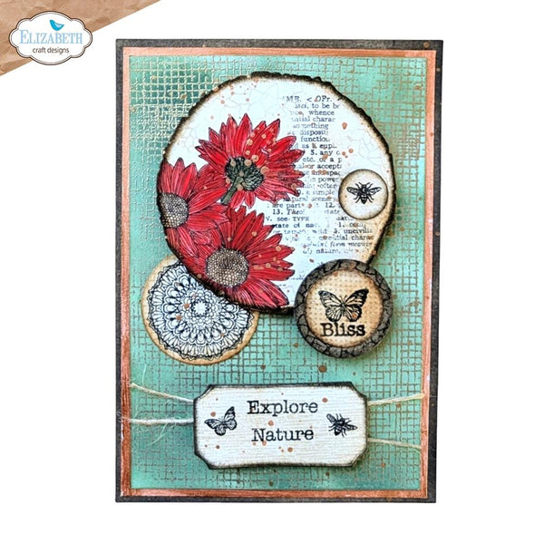 Playful Textures A5 Clear Stamp Set | Everyday Elements