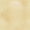 Starlight Dreams Collection Bundle {clearance}