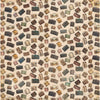 Travel Junque 12x12 Collection Pack