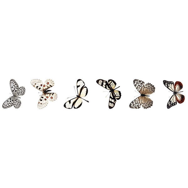 Butterfly Kiss-Cut PET Stickers | Grunge Collection