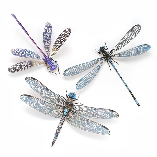Aerial Dragonfly 3pc Laser Cut Specimens