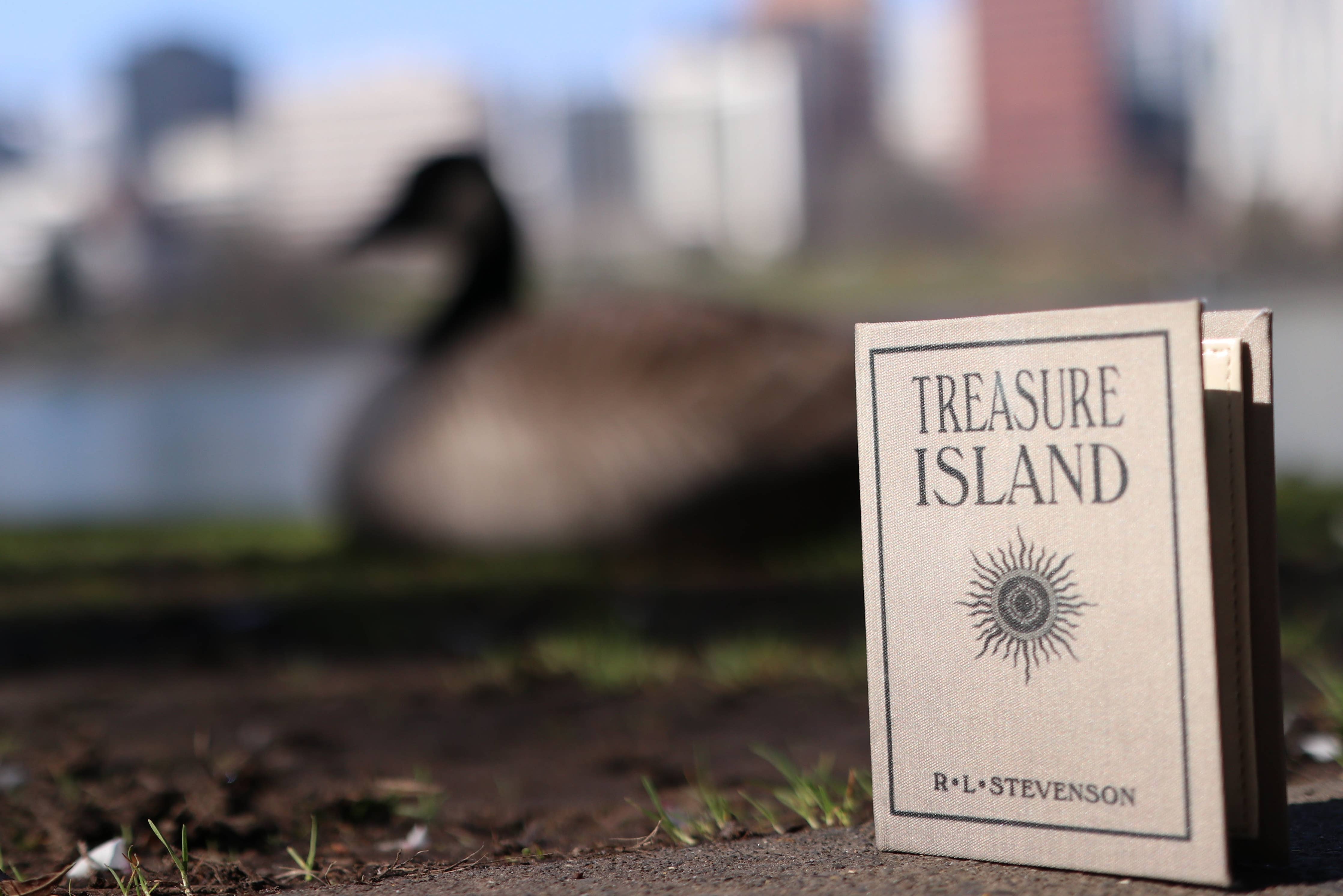 Treasure Island Book Wallet Robert | Louis Stevenson 1883