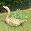 Swan Planters