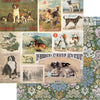 Spot & Oliver Collection Kit