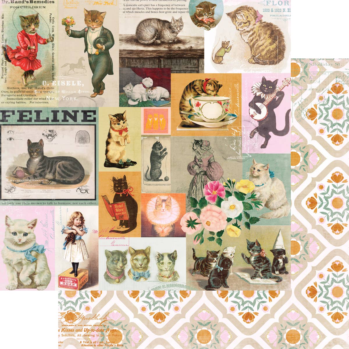 Spot & Oliver Collection Kit