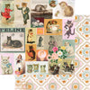 Spot & Oliver Collection Kit