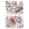 {coming soon!} Botanical Postcards 4x6 Clear Stamp Set