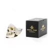 White Skull Desk Tidy