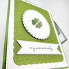 Doily Shaker Frame Die