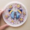 Dawn Butterflies 3pc Laser Cut Specimens