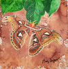 Encre brune Atlas Moth
