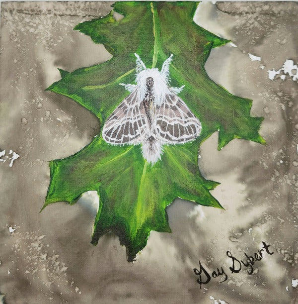 Tolype Moth Warm Ink