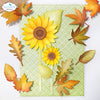 Florals No. 26 Die Set | Sunflowers