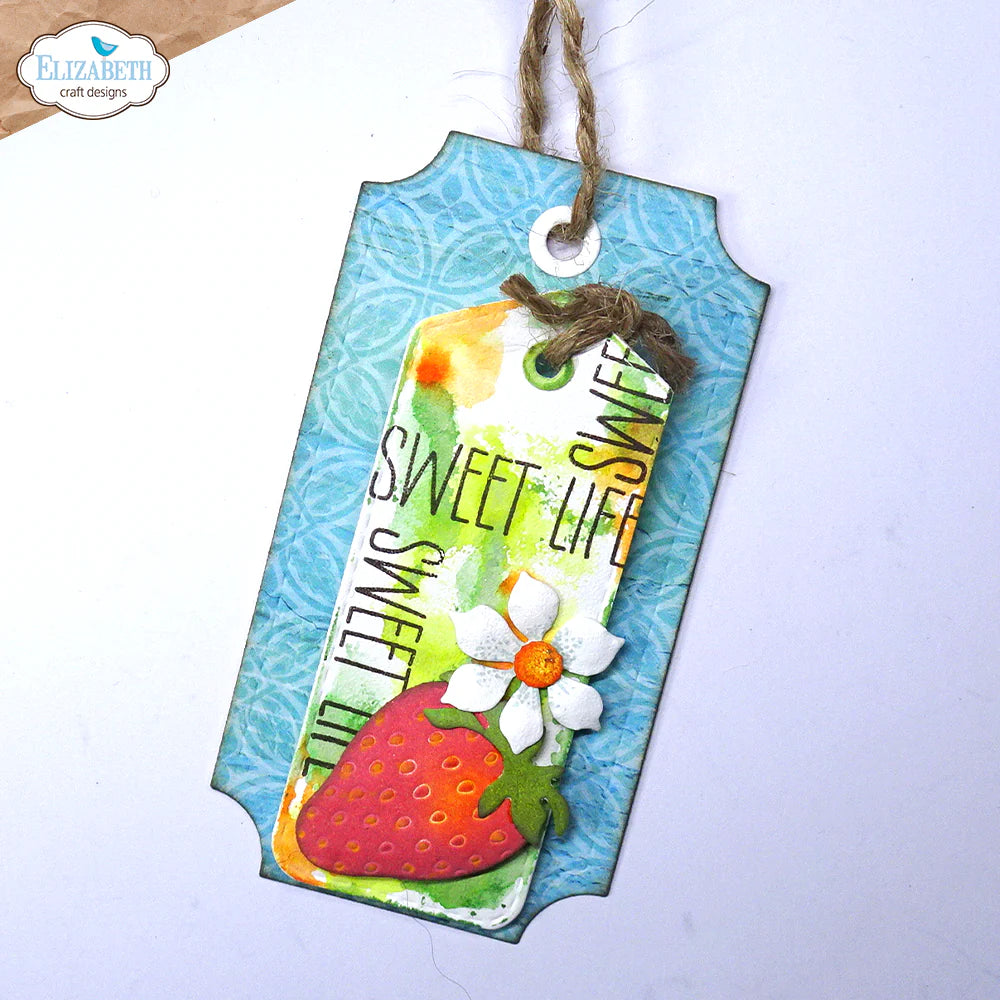 Tag Variety Pack Die Set | Everyday Elements