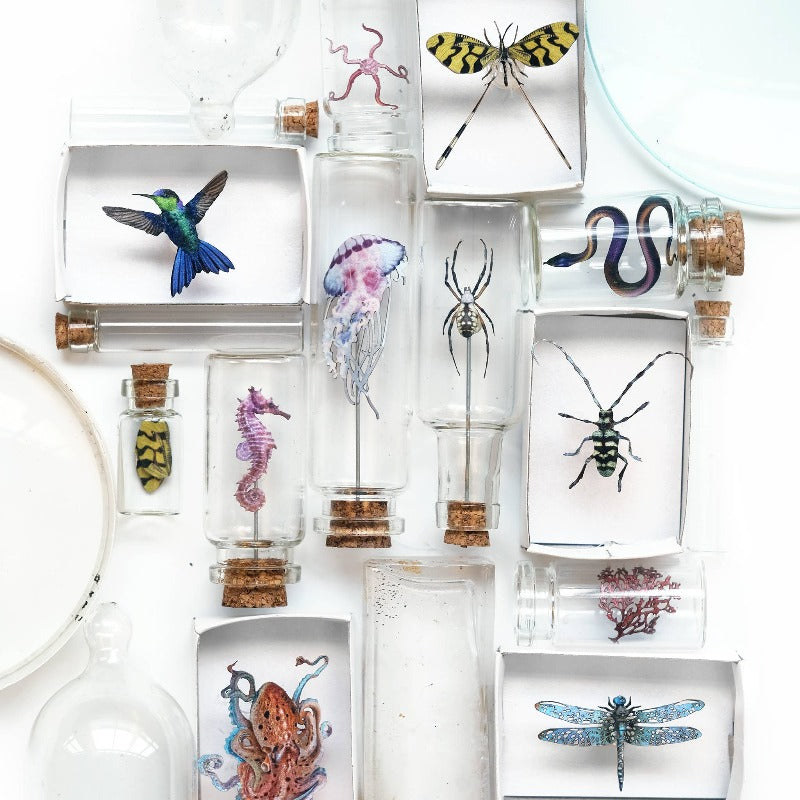 Biophilia Micro Laser Cut Specimen Collection
