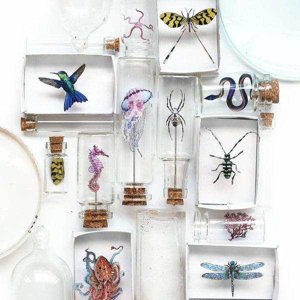 Biophilia Micro Laser Cut Specimen Collection