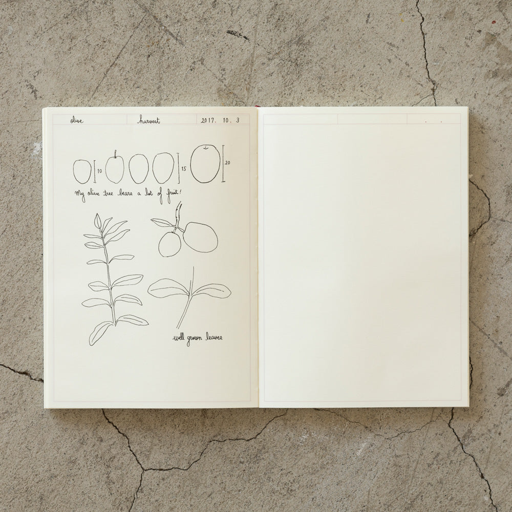 Carnet de notes à cadre MD crème A5