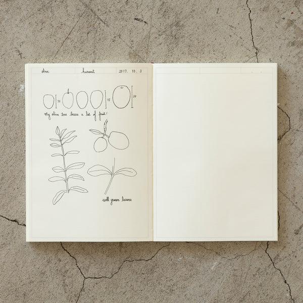 Carnet de notes à cadre MD crème A5