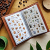 Sticker Sheet Organizer | Green