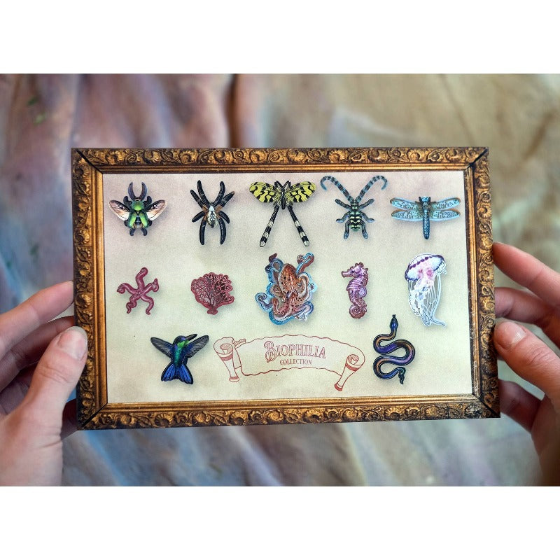 Biophilia Micro Laser Cut Specimen Collection