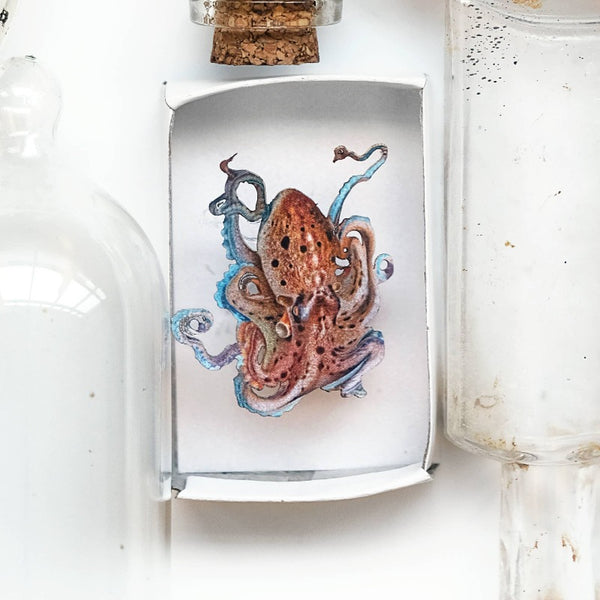 Biophilia Micro Laser Cut Specimen Collection